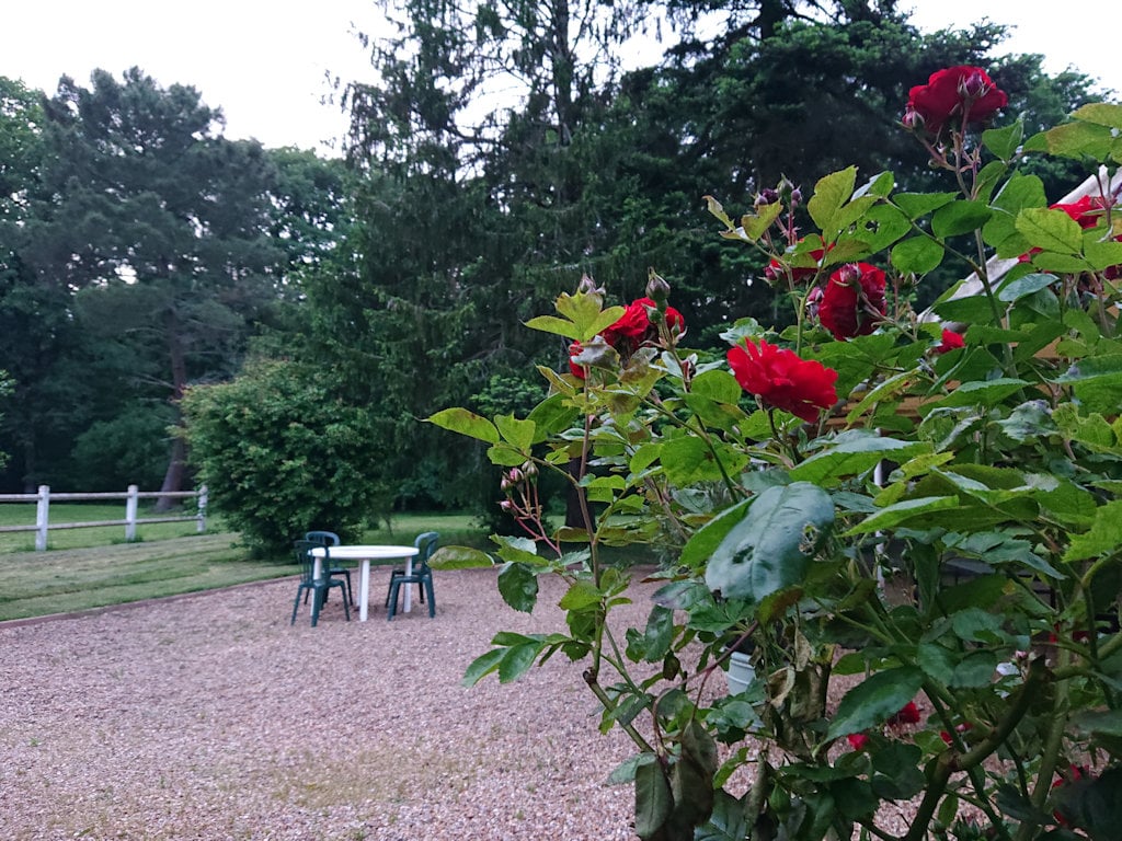 Les fleurs et les tables du jardin