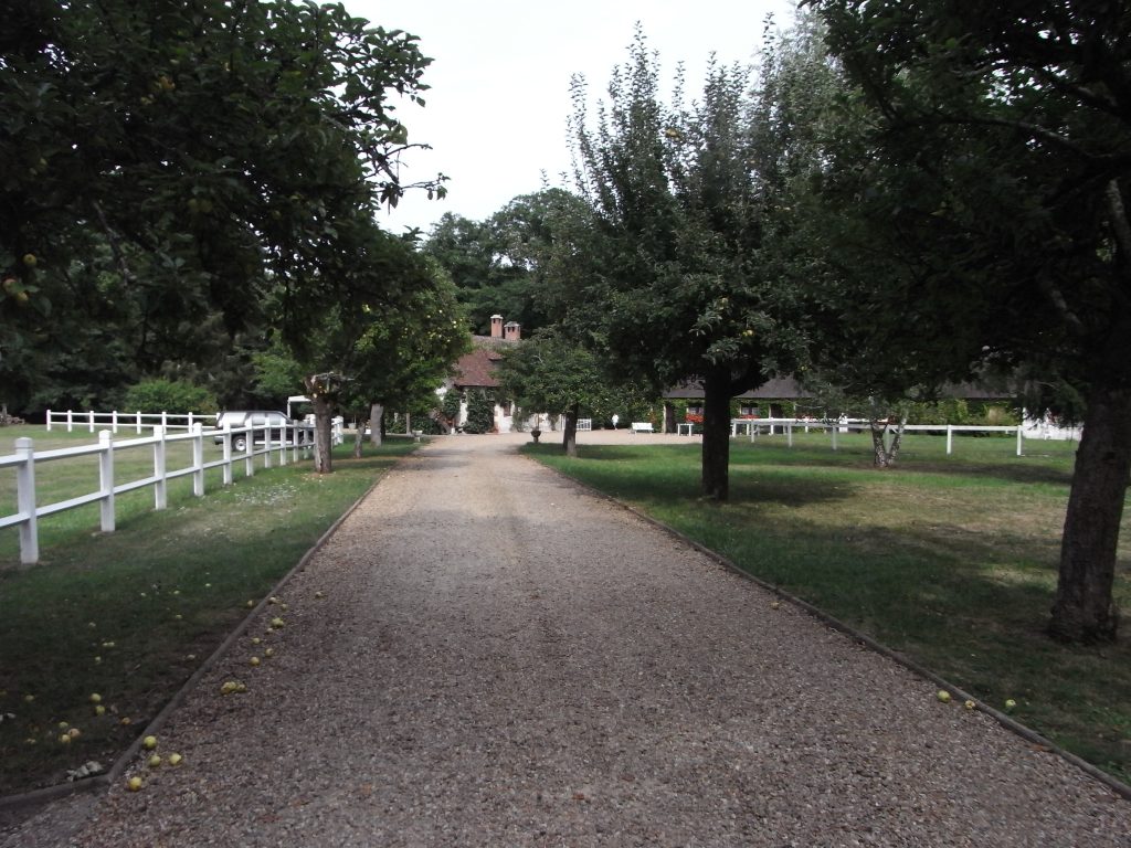 Allée bordée d’arbres menant à l’Auberge Marcheroux